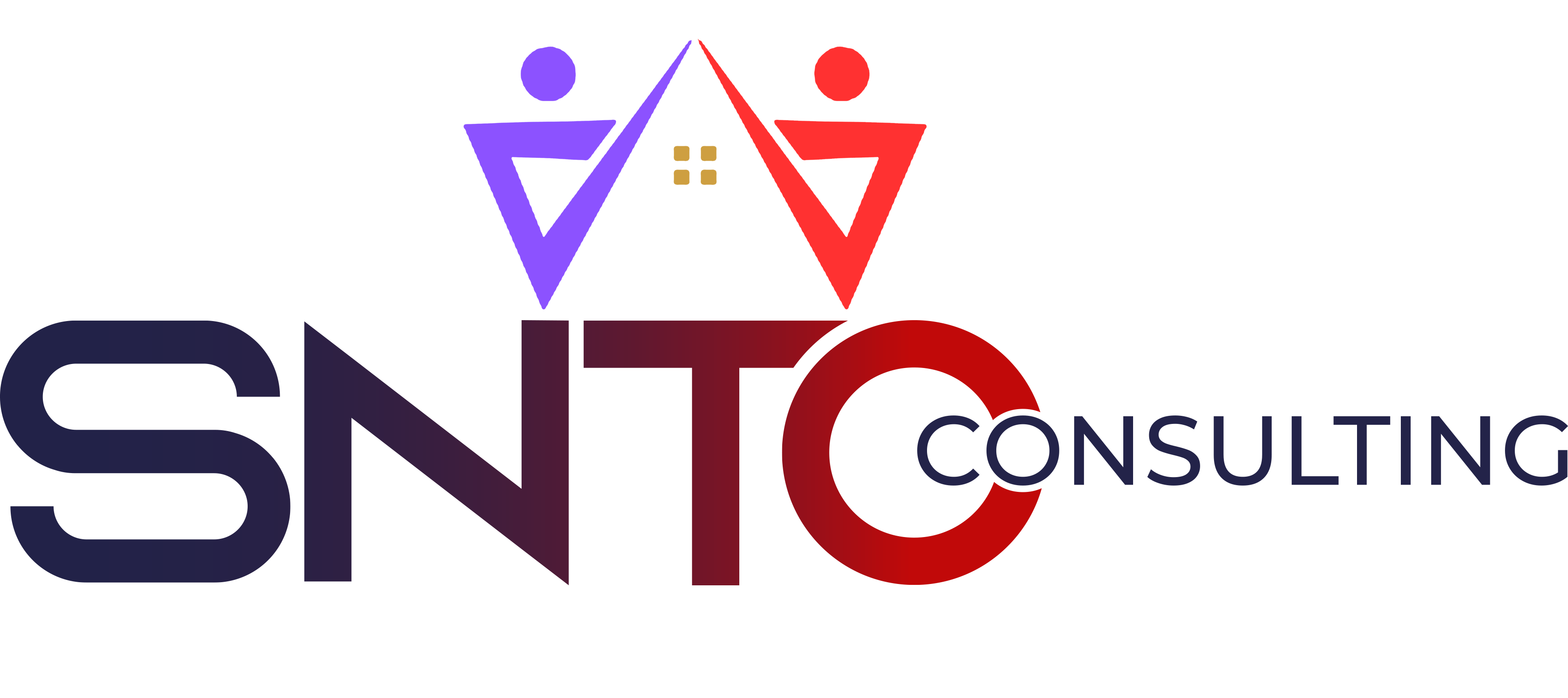 SNTO CONSULTING